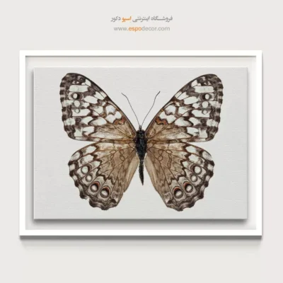 تابلو پروانه - اسپو دکور