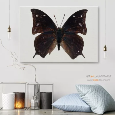 تابلو پروانه - اسپو دکور