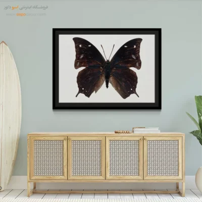تابلو پروانه - اسپو دکور