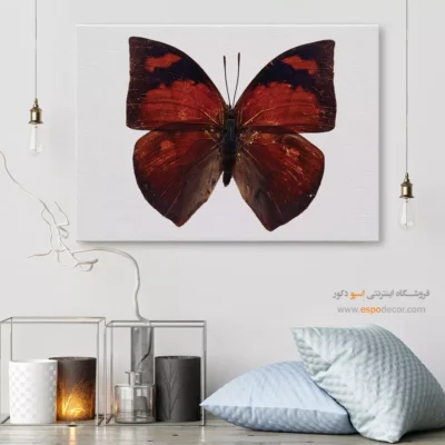 تابلو پروانه - اسپو دکور