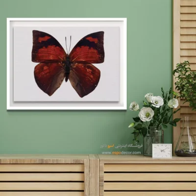تابلو پروانه - اسپو دکور