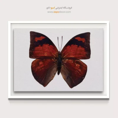تابلو پروانه - اسپو دکور