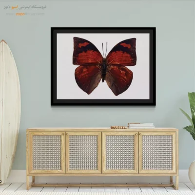 تابلو پروانه - اسپو دکور