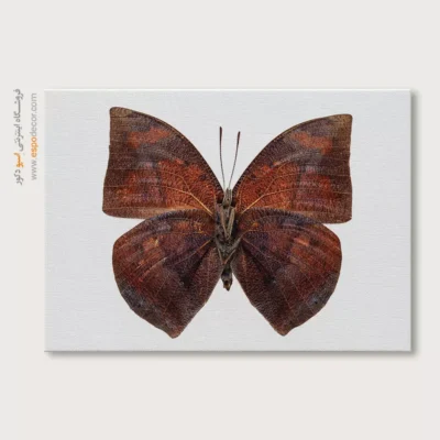 تابلو پروانه - اسپو دکور