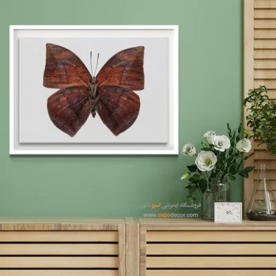 تابلو پروانه - اسپو دکور