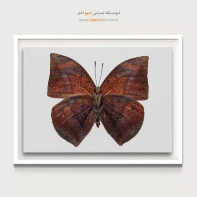 تابلو پروانه - اسپو دکور