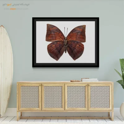 تابلو پروانه - اسپو دکور