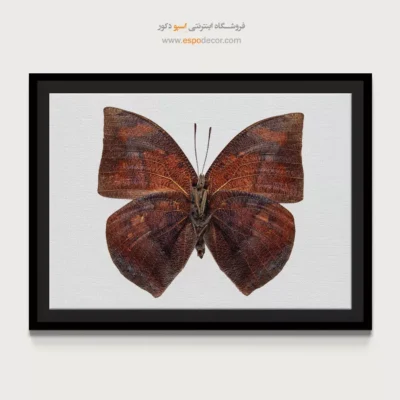 تابلو پروانه - اسپو دکور