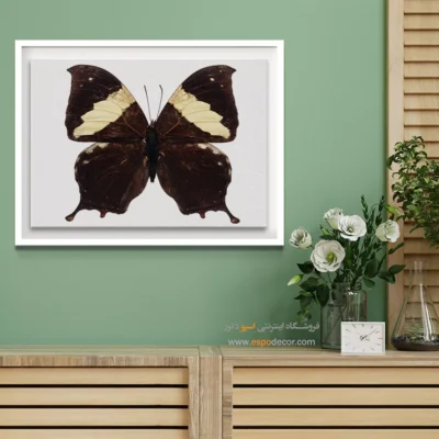 تابلو پروانه - اسپو دکور