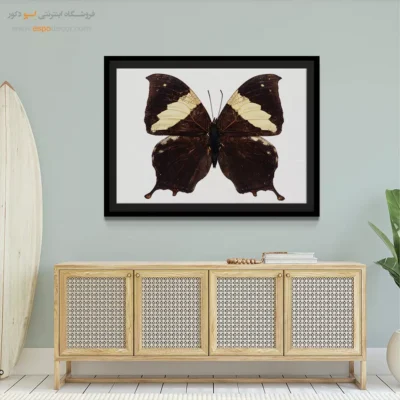 تابلو پروانه - اسپو دکور