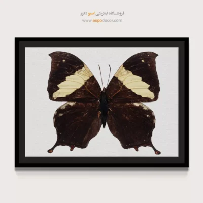 تابلو پروانه - اسپو دکور