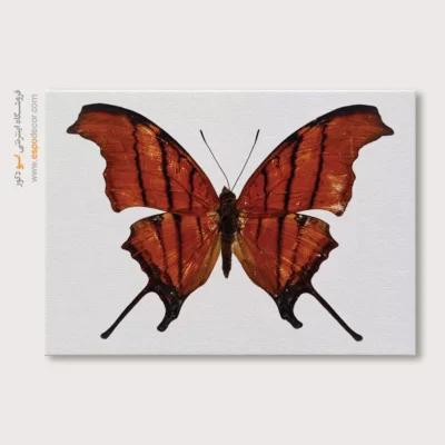 تابلو پروانه - اسپو دکور