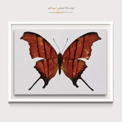 تابلو پروانه - اسپو دکور