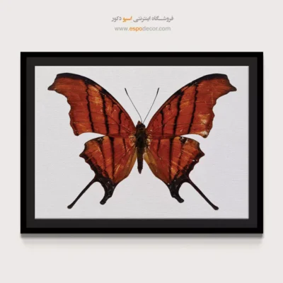 تابلو پروانه - اسپو دکور