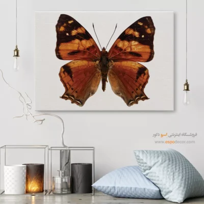 تابلو پروانه - اسپو دکور