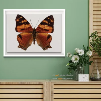 تابلو پروانه - اسپو دکور