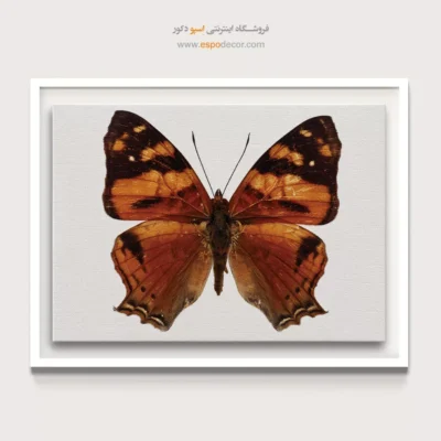 تابلو پروانه - اسپو دکور