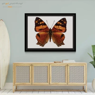 تابلو پروانه - اسپو دکور