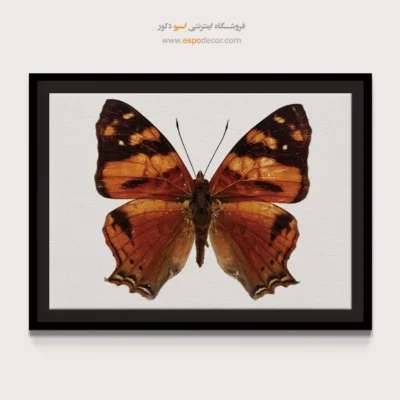 تابلو پروانه - اسپو دکور