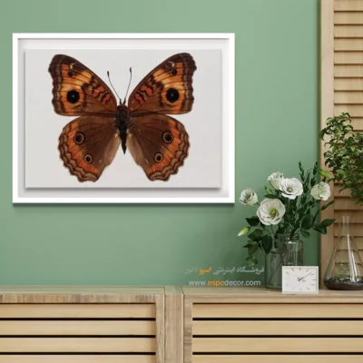 تابلو پروانه - اسپو دکور