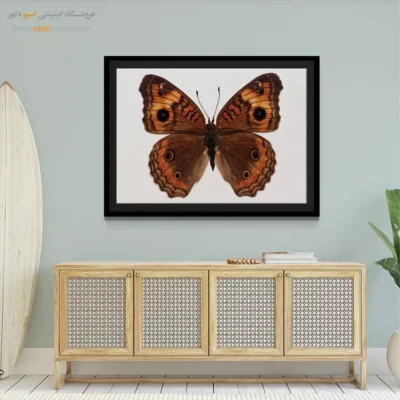 تابلو پروانه - اسپو دکور