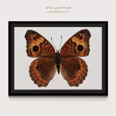 تابلو پروانه - اسپو دکور