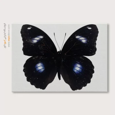تابلو پروانه - اسپو دکور