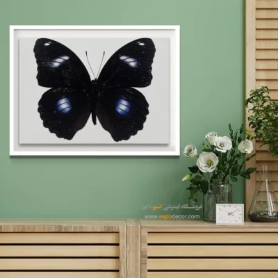 تابلو پروانه - اسپو دکور