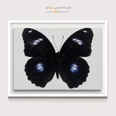 تابلو پروانه - اسپو دکور