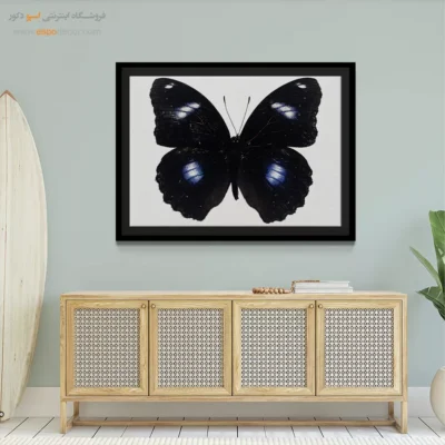 تابلو پروانه - اسپو دکور