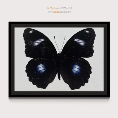 تابلو پروانه - اسپو دکور