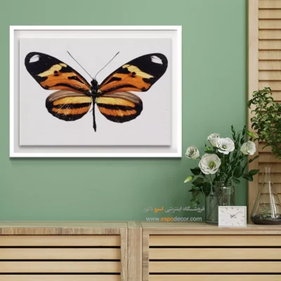 تابلو پروانه - اسپو دکور
