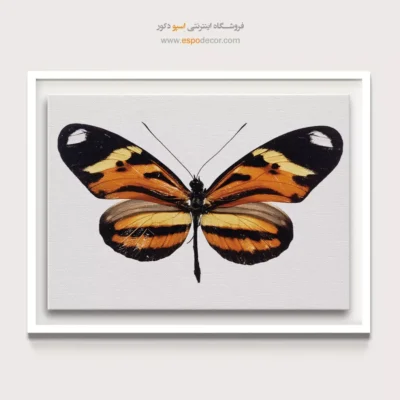 تابلو پروانه - اسپو دکور