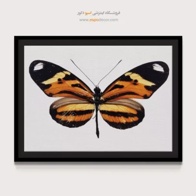 تابلو پروانه - اسپو دکور