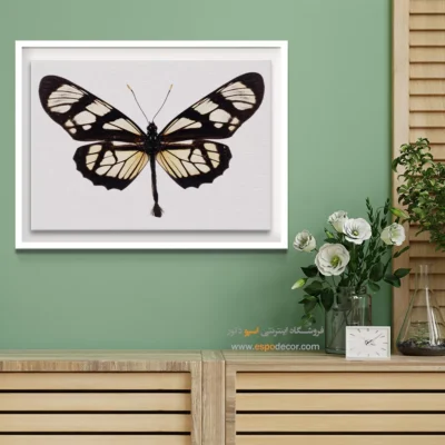 تابلو پروانه - اسپو دکور