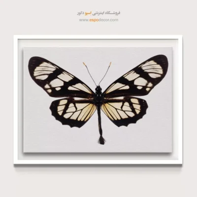 تابلو پروانه - اسپو دکور