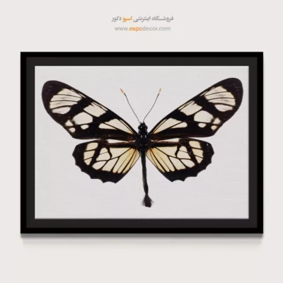 تابلو پروانه - اسپو دکور