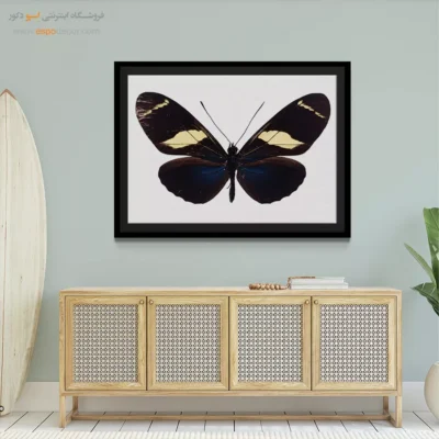 تابلو پروانه - اسپو دکور