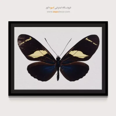 تابلو پروانه - اسپو دکور