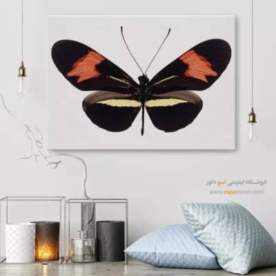 تابلو پروانه - اسپو دکور