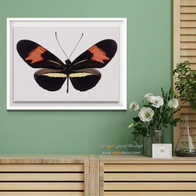 تابلو پروانه - اسپو دکور