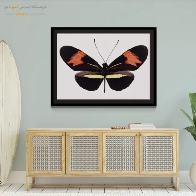 تابلو پروانه - اسپو دکور