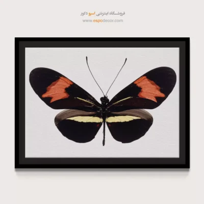 تابلو پروانه - اسپو دکور