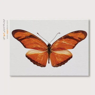تابلو پروانه - اسپو دکور