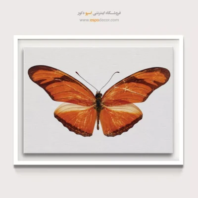تابلو پروانه - اسپو دکور