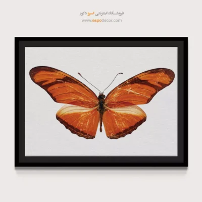 تابلو پروانه - اسپو دکور