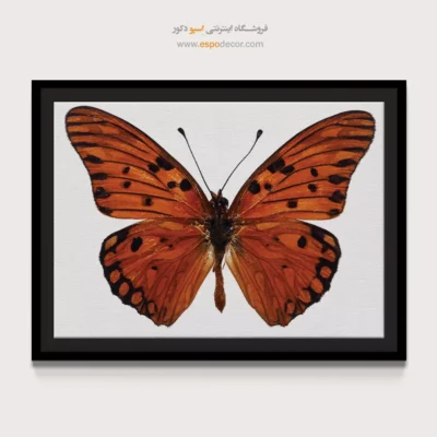 تابلو پروانه - اسپو دکور