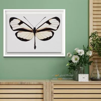 تابلو پروانه - اسپو دکور