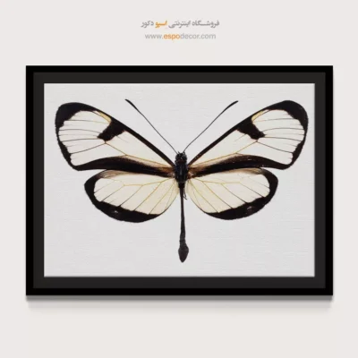 تابلو پروانه - اسپو دکور
