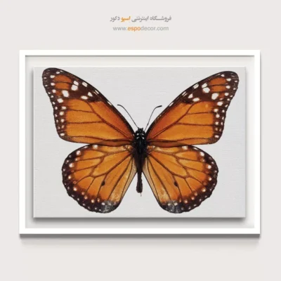 تابلو پروانه - اسپو دکور